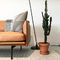 أريكة غرفة معيشة معاصرة مع أريكة خشبية / قماش عصري / جلد مفرد مزدوج بثلاثة مقاعد